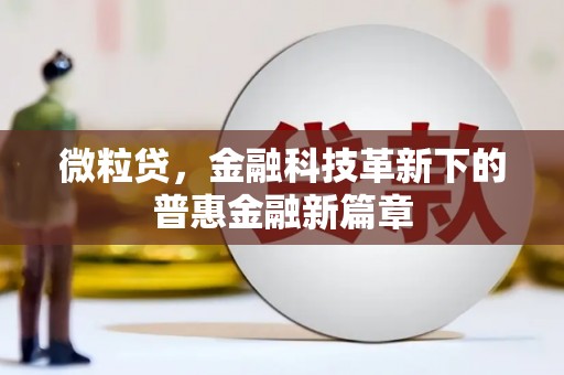 芙蓉微粒贷，金融科技革新下的普惠金融新篇章