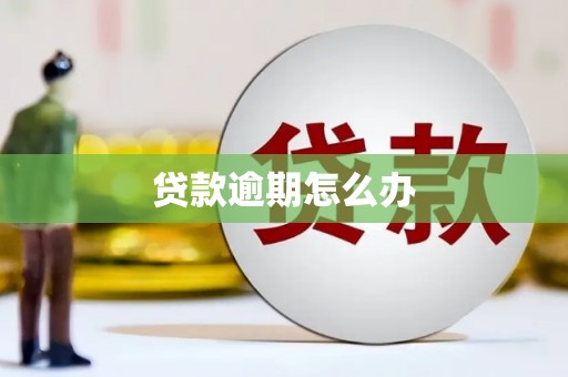 芙蓉贷款逾期怎么办