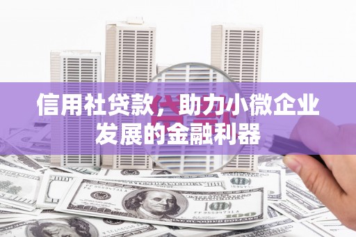芙蓉信用社贷款，助力小微企业发展的金融利器