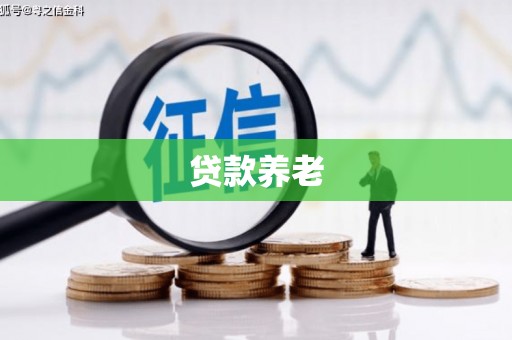 芙蓉贷款养老