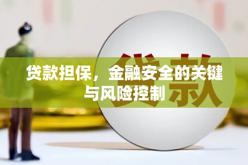 芙蓉贷款担保，金融安全的关键与风险控制