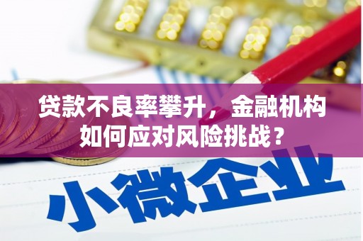 芙蓉贷款不良率攀升，金融机构如何应对风险挑战？