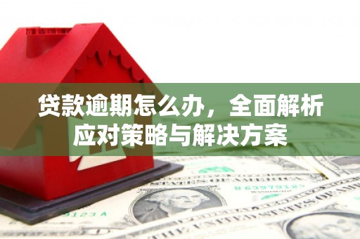 芙蓉贷款逾期怎么办，全面解析应对策略与解决方案