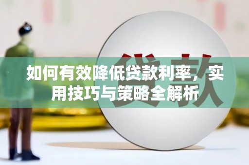 芙蓉如何有效降低贷款利率，实用技巧与策略全解析