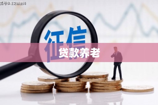 芙蓉贷款养老
