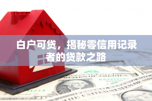 芙蓉白户可贷，揭秘零信用记录者的贷款之路