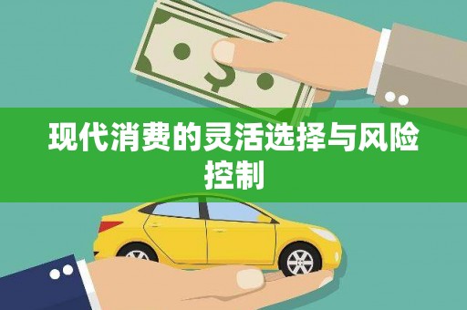 芙蓉现代消费的灵活选择与风险控制
