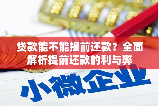 芙蓉贷款能不能提前还款？全面解析提前还款的利与弊