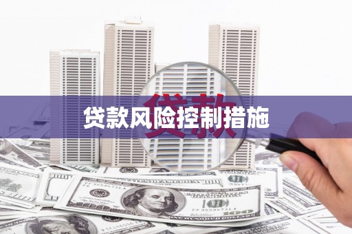 芙蓉贷款风险控制措施