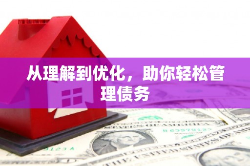 芙蓉从理解到优化，助你轻松管理债务