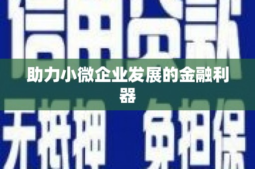 芙蓉助力小微企业发展的金融利器