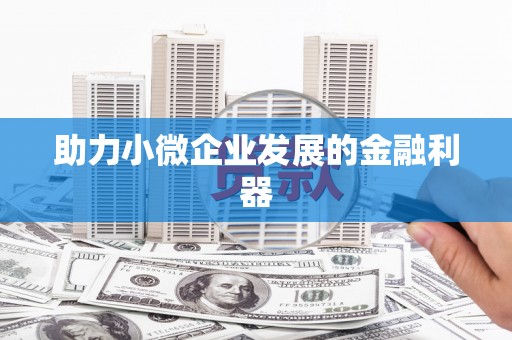 芙蓉助力小微企业发展的金融利器
