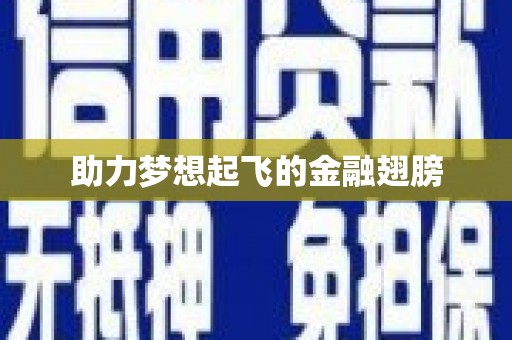 芙蓉助力梦想起飞的金融翅膀