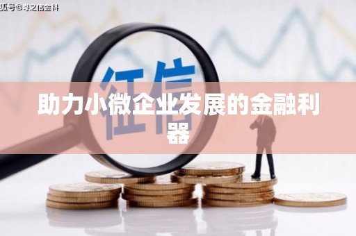 芙蓉助力小微企业发展的金融利器