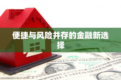 芙蓉便捷与风险并存的金融新选择