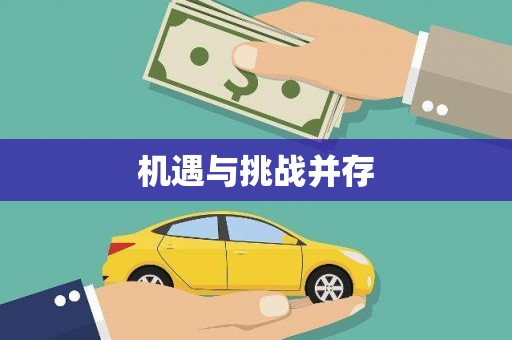 芙蓉机遇与挑战并存