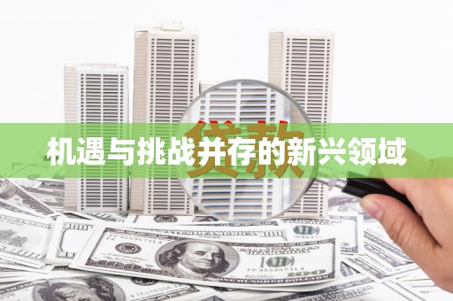 芙蓉机遇与挑战并存的新兴领域