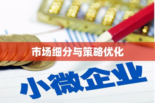 芙蓉市场细分与策略优化