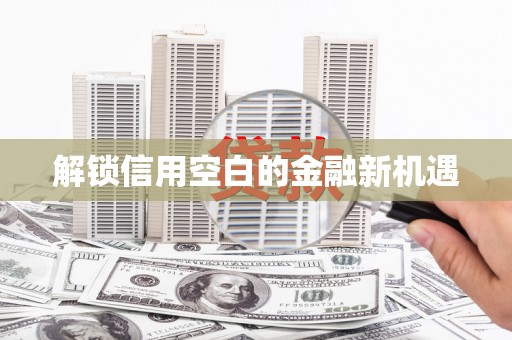 芙蓉解锁信用空白的金融新机遇