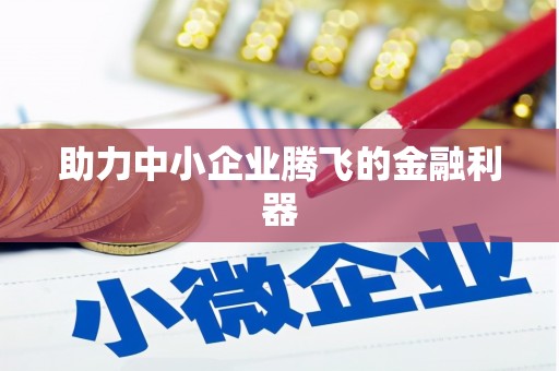 芙蓉助力中小企业腾飞的金融利器