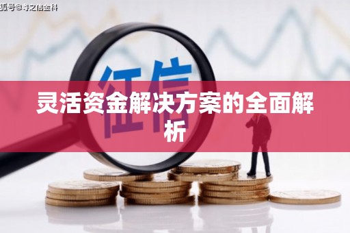 芙蓉灵活资金解决方案的全面解析