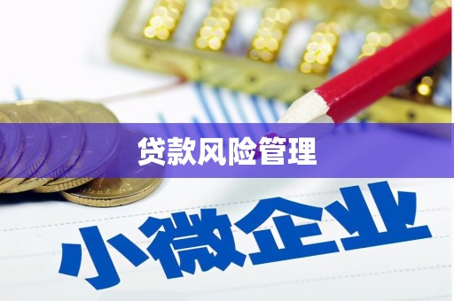 芙蓉贷款风险管理